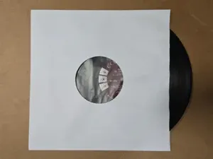 Poly Lined Paper LP Inner Sleeves